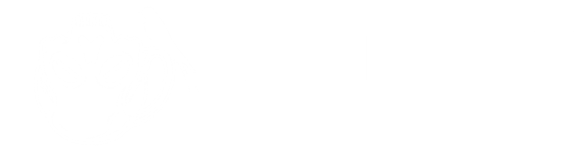 Origin Coffee Co.
